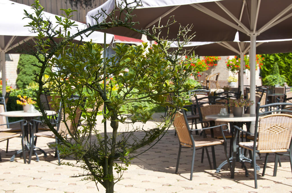 Hotel Steensel Exterior photo